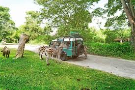 TAMAN SAFARI BALI TICKET