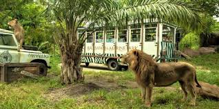 TAMAN SAFARI BALI TICKET