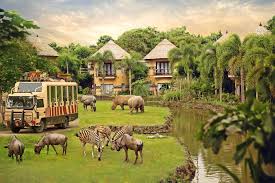 TAMAN SAFARI BALI TICKET