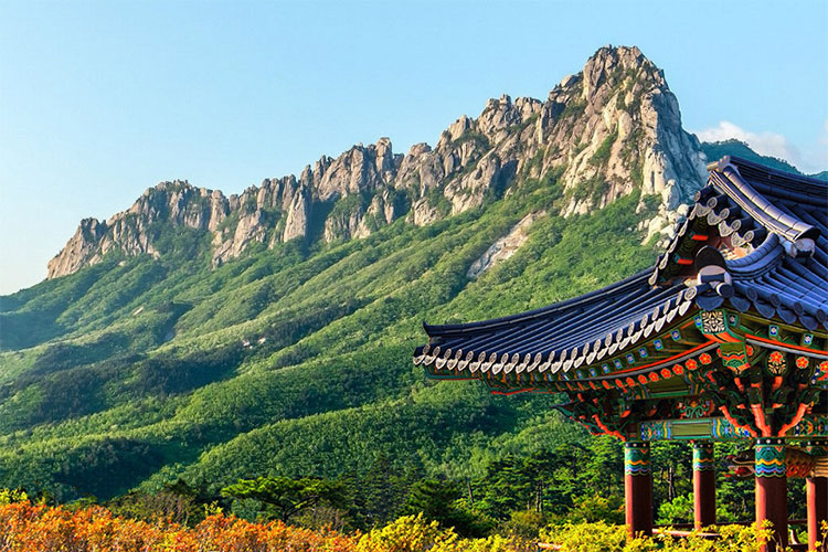 KOREA ~ EXPLORE KOREA CHERRY BLOSSOM+ MT.SEORAK & EVERLAND 7D4N By Malaysian Airlines BT-20