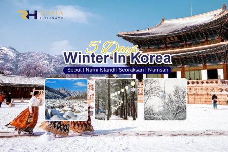 5H3M WINTER IN KOREA 2025 2026